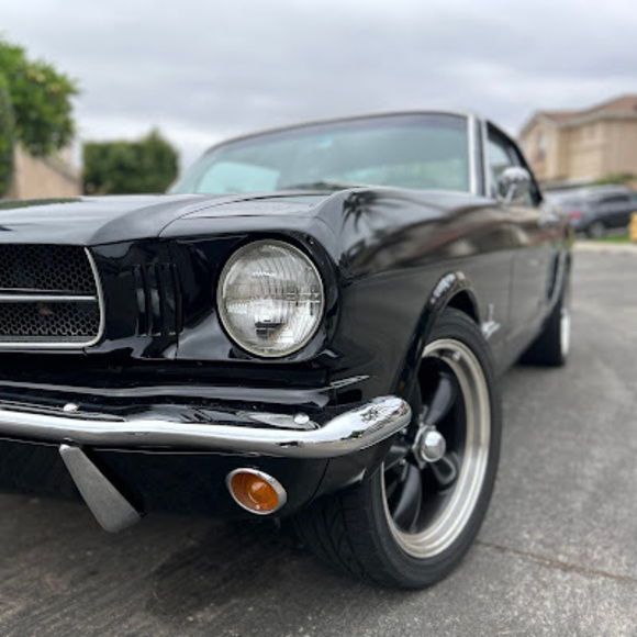 Meet your Posher, Jorge - Picture 1 of 1